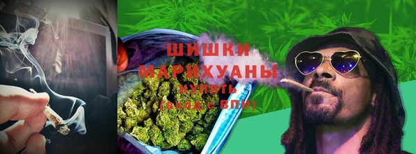 Альфа ПВП Богданович